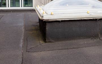 disadvantages of Old Leake flat roofs