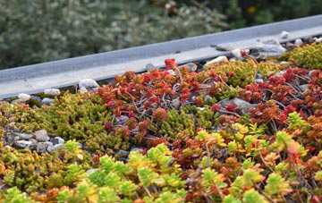 the cost of Old Leake green roof installation