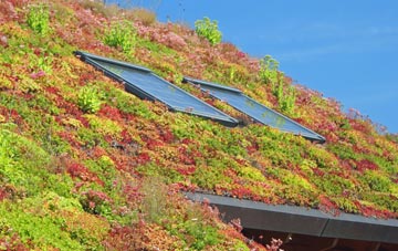 Old Leake living roof systems