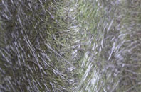 Old Leake fibreglass roof work